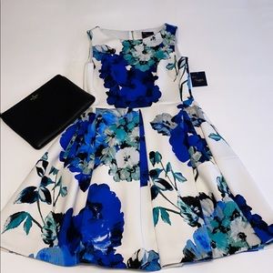 Brand New Just… Taylor Dress